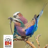 B&H Photography Podcast artwork