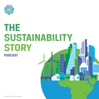 The Sustainability Story artwork
