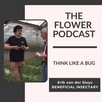 The Flower Podcast artwork