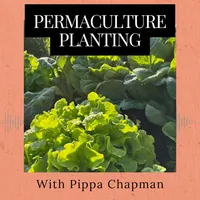Roots and All - Gardening Podcast artwork