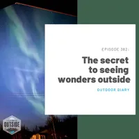 Humans Outside artwork