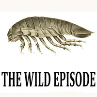 The Wild Episode artwork