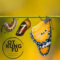 Leadership Kung Fu artwork