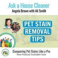 Ask a House Cleaner artwork