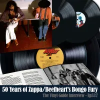 The Vinyl Guide - Artist Interviews for Record Collectors and Music Nerds artwork