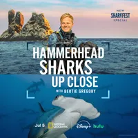 Marine Conservation Happy Hour artwork