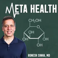 Meta Health: Mindfulness Meets Metabolism artwork