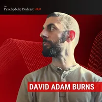 The Psychedelic Podcast artwork