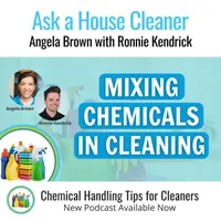 Ask a House Cleaner artwork