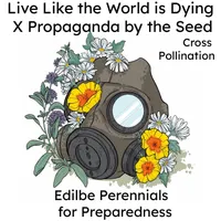 Propaganda By The Seed artwork