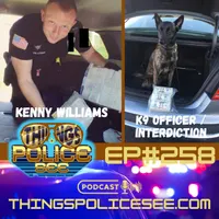Things Police See: Firsthand Accounts artwork