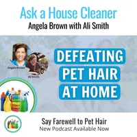 Ask a House Cleaner artwork
