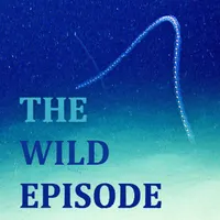 The Wild Episode artwork