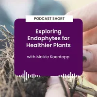 Regenerative Agriculture Podcast artwork