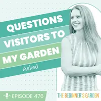 The Beginner's Garden with Jill McSheehy artwork