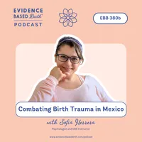 Evidence Based Birth® artwork