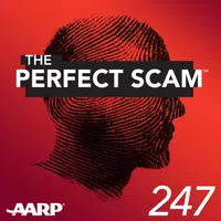 The Perfect Scam artwork
