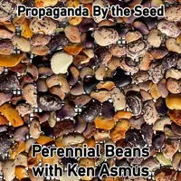 Propaganda By The Seed artwork