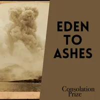 Consolation Prize artwork
