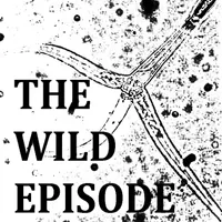 The Wild Episode artwork