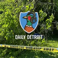 Daily Detroit artwork