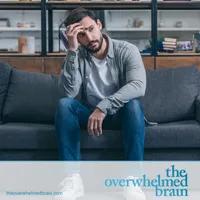 The Overwhelmed Brain artwork