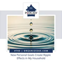 Organize 365 Podcast artwork