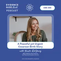 Evidence Based Birth® artwork