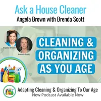 Ask a House Cleaner artwork