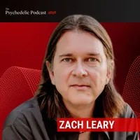 The Psychedelic Podcast artwork