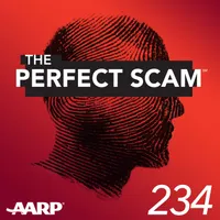 The Perfect Scam artwork