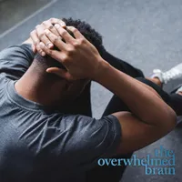 The Overwhelmed Brain artwork