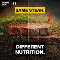The Primal Shift artwork