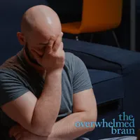 The Overwhelmed Brain artwork