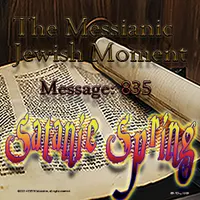 The Messianic Jewish Moment artwork
