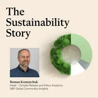 The Sustainability Story artwork