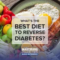 Mastering Diabetes Audio Experience artwork