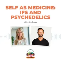 The One Inside: An Internal Family Systems (IFS) podcast artwork