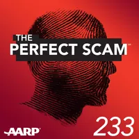 The Perfect Scam artwork