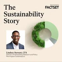 The Sustainability Story artwork