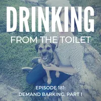 Drinking From the Toilet: Real dogs, Real training artwork