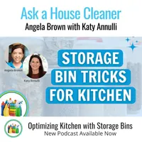 Ask a House Cleaner artwork