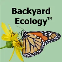 Backyard Ecology™ artwork