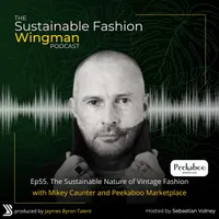 The Sustainable Fashion Wingman artwork