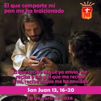 Evangelio del día artwork