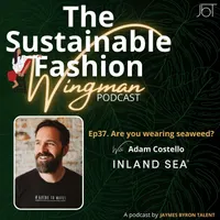 The Sustainable Fashion Wingman artwork