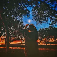 The Night Owl: True Ghost Stories artwork