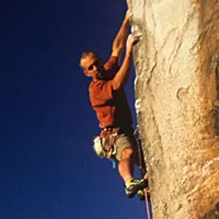 The Climbing Majority artwork