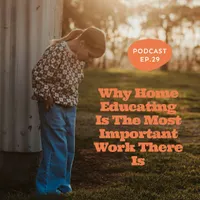 The Life Without School Podcast artwork