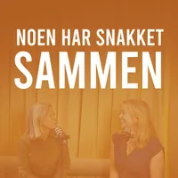 Noen har snakket sammen artwork